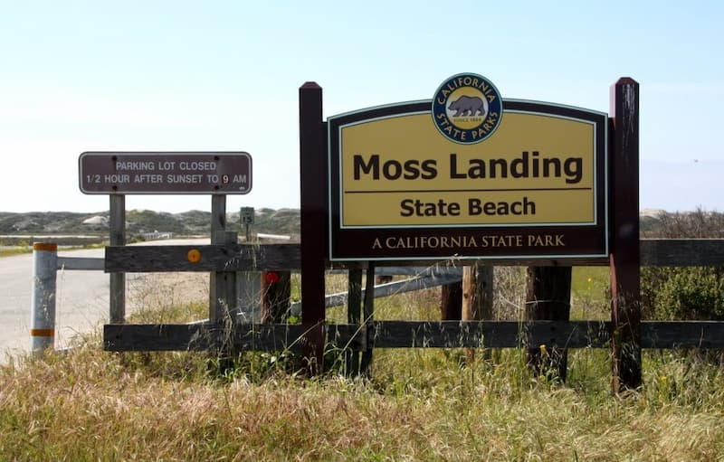 Playa estatal Moss Landing-aves Monterey