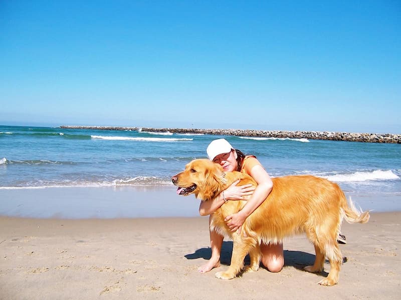 Playa para perros de la isla de Coronado-san diego