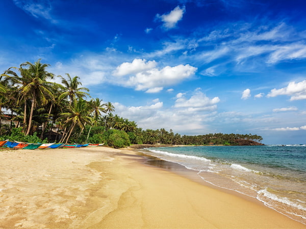 Playas lo que deber saber para viajar a Sri Lanka 1