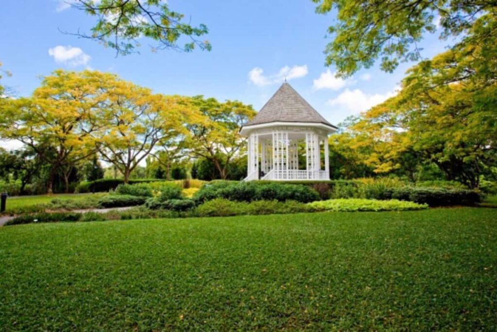 Por qué debe visitar los hermosos jardines botánicos de Singapur dos veces