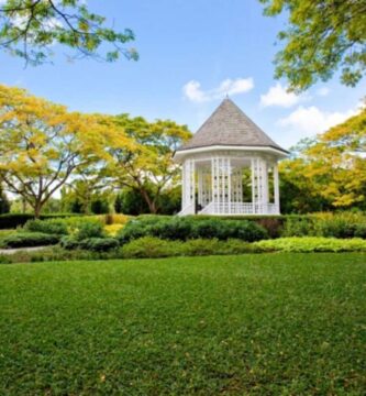 Por qué debe visitar los hermosos jardines botánicos de Singapur dos veces