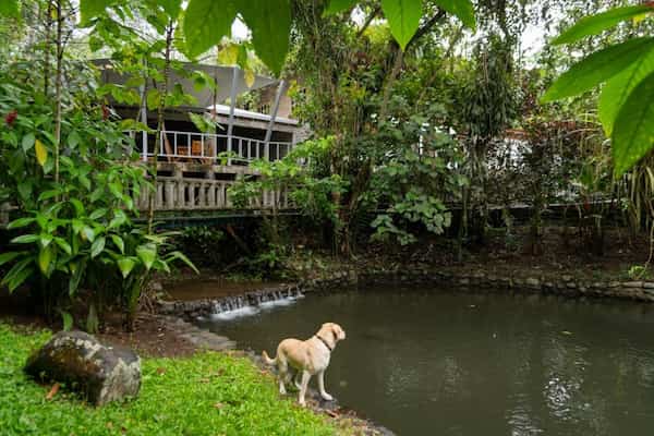 Rancho Margot-Eco-Lodges en Costa Rica