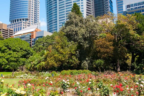 Real Jardín Botánico consejos económicos para vivir Sídney en Australia 1