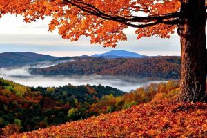 Recomendadas actividades de otoño en Vermont