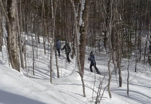 Rutas con raquetas de nieve de la Jackson Ski Touring Foundation