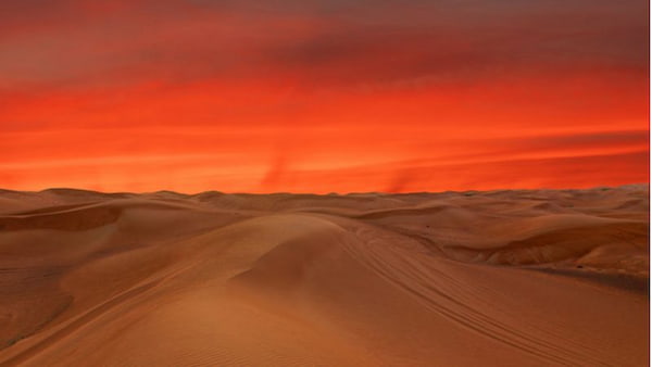 Safari nocturno por el desierto en Qatar