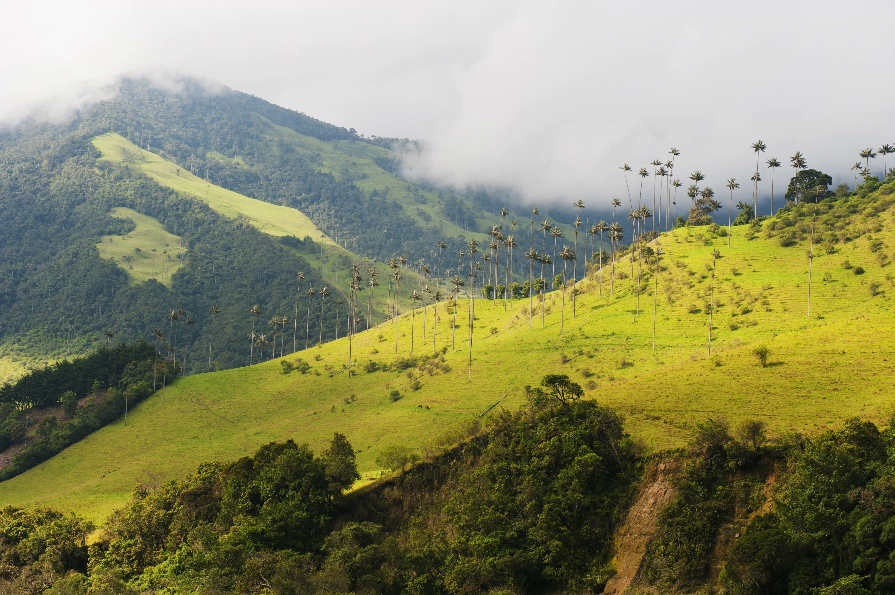 Salento-pueblos en Colombia