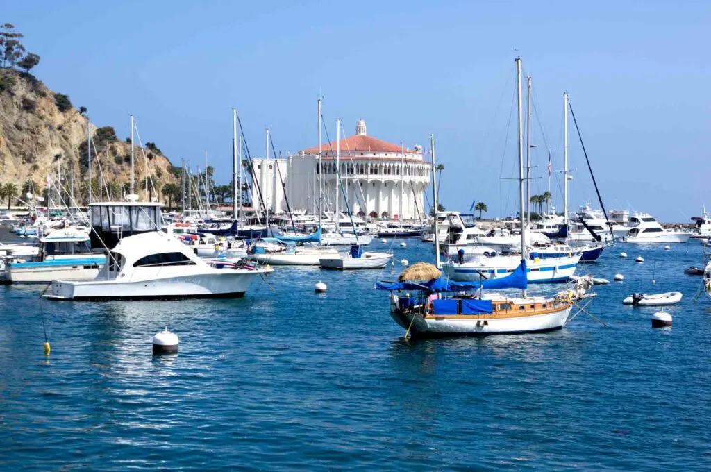 Mejores Lugares para Visitar en Abril en EE.UU Santa Catalina Island, California