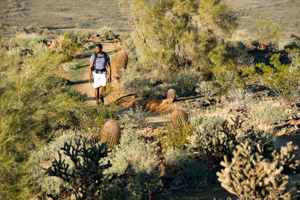 Skip Rimsza Paseo Trails en la Reserva del Desierto de Sonora