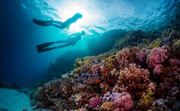 Practica snorkel en la barrera de coral