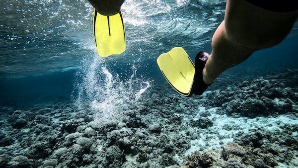 Snorkel-experiencias en la Isla Lord Howe en Australia 2