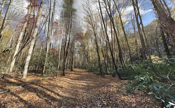 Valle maggie-Sendero Rough Fork, Parque Nacional Great Smoky Mountains-Caminatas en Carolina del Norte