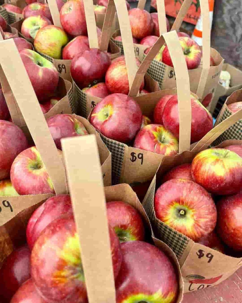 Ve a recoger manzanas en Blackstone Valley