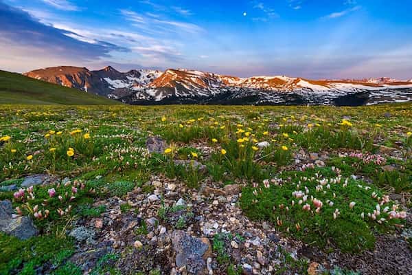 Verano (junio-agosto)-el mejor momento para las flores silvestres y acampar-Cuándo visitar el Parque Nacional Rocky Mountain