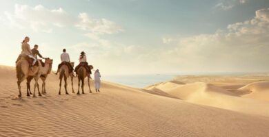 Viva la Experiencia de un Safari en el Desierto de Qatar