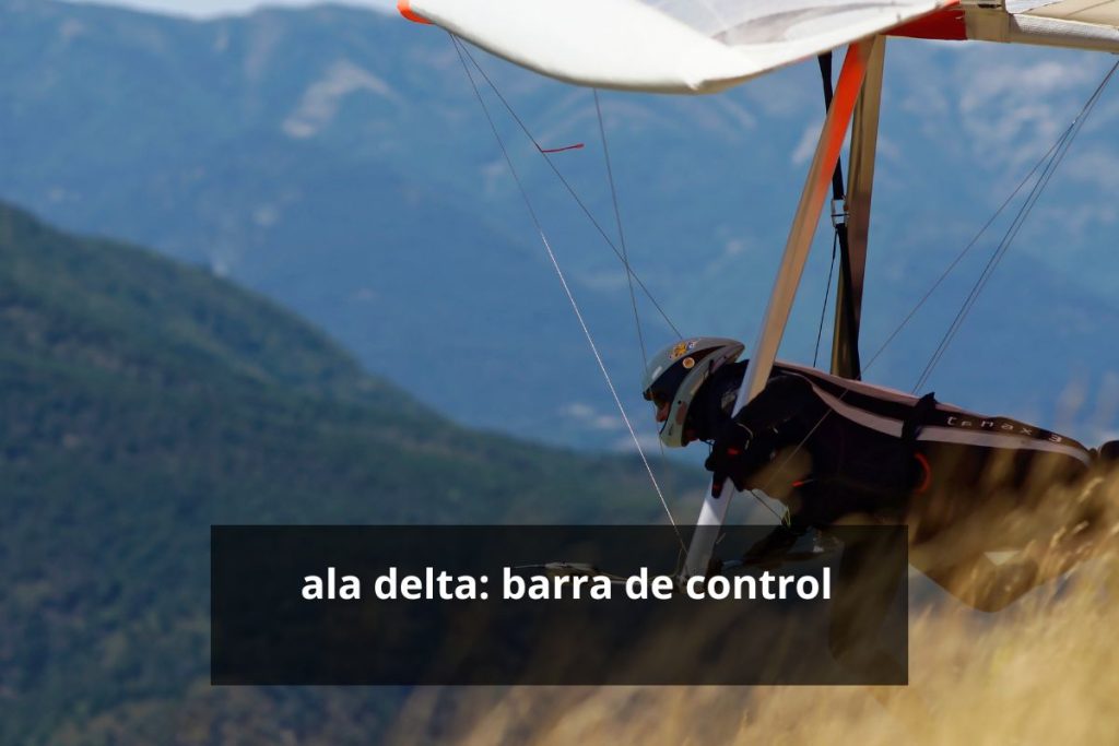 ala delta barra de control