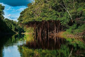 aventuras en la selva amazónica de Perú