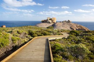 cosas sobre la Isla Canguro de Australia