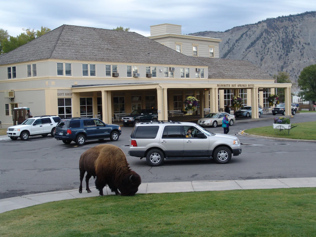 Mammoth Hot Springs Hotel-2