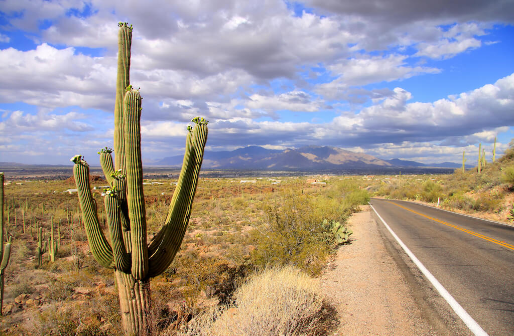 Mejores Lugares para Visitar en Febrero en EE.UU Parque Nacional Saguaro en Arizona