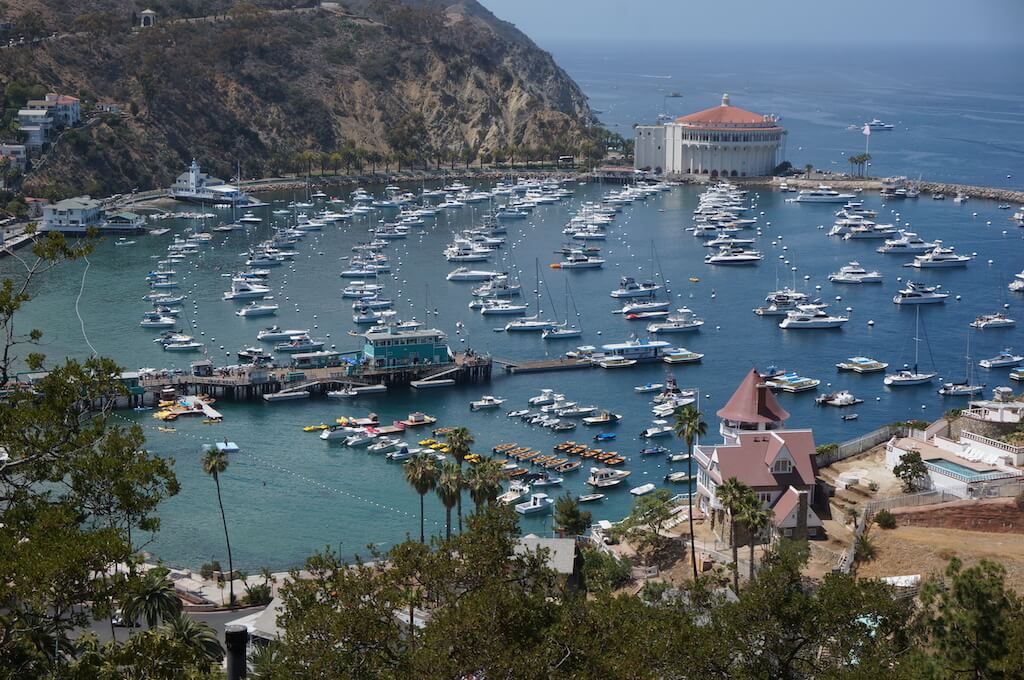 Mejores Lugares para Visitar en Febrero en EE.UU Catalina Island, CA