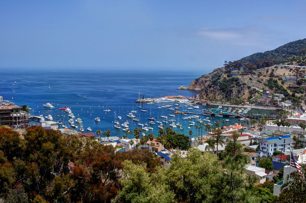 Mejores Lugares para Visitar en Abril en EE.UU Isla Catalina, CA para bucear