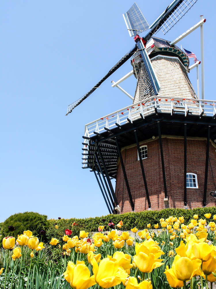 Holanda, MI para el Festival de los Tulipanes