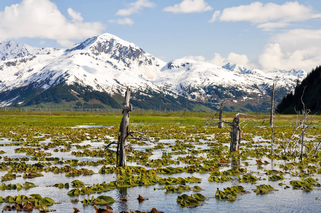 Mejores Lugares para Visitar en Junio en EE.UU Península de Kenai, Alaska para pescar
