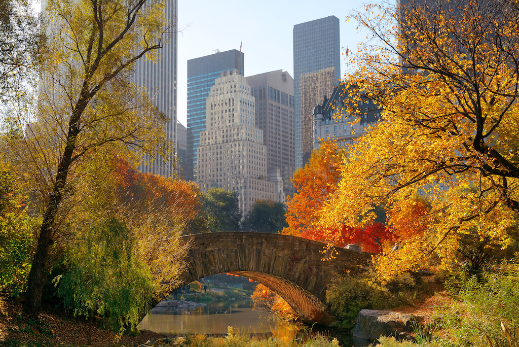 Lugares para Visitar en Octubre en EE.UU 
 Nueva York, Nueva York