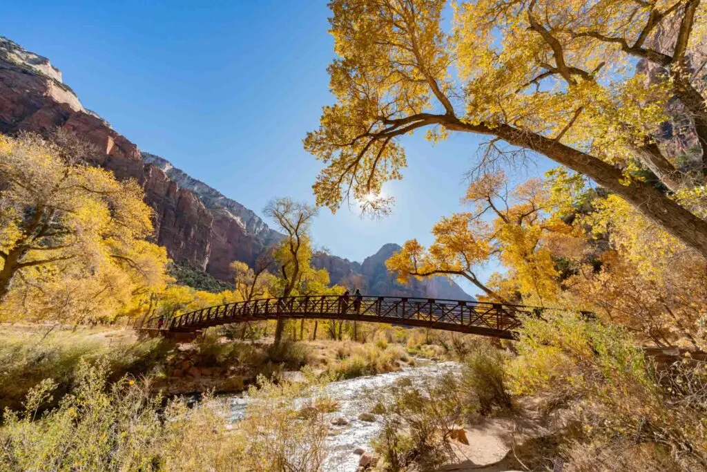 Mejores Lugares para Visitar en Noviembre
Parque Nacional Zion, Utah
