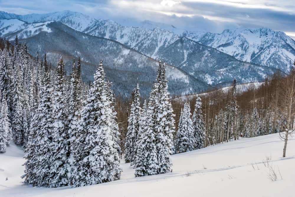 Alta y Snowbird, Utah: magníficos destinos de esquí a los que visitar en enero