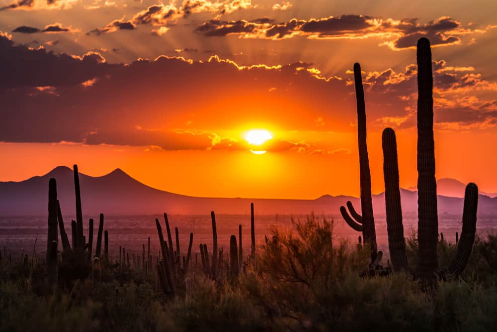 Haga una caminata en Tucson, Arizona