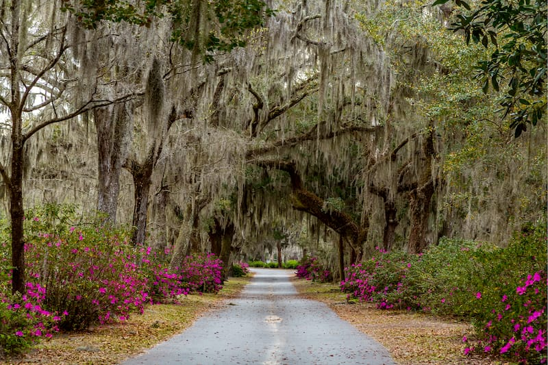 Mejores Lugares para Visitar en Marzo en EE.UU Savannah