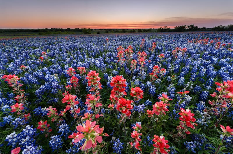 Mejores Lugares para Visitar en Marzo en EE.UU Texas Hill Country