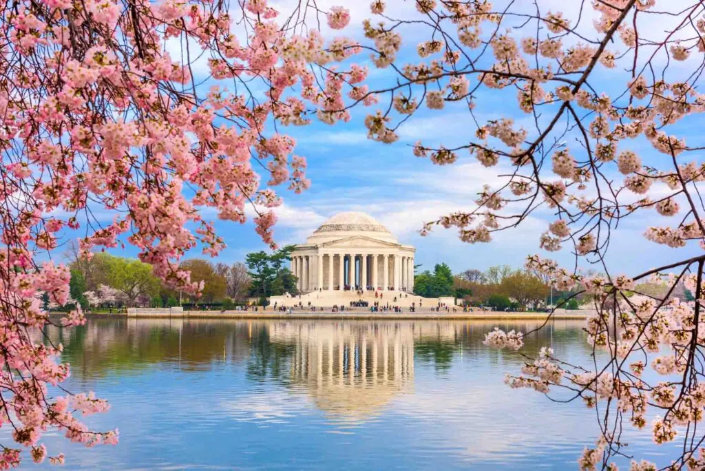Mejores Lugares para Visitar en Marzo en EE.UU Washington DC