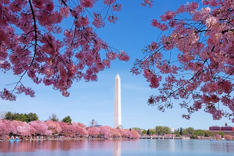 Mejores Lugares para Visitar en Abril en EE.UU Washington DC