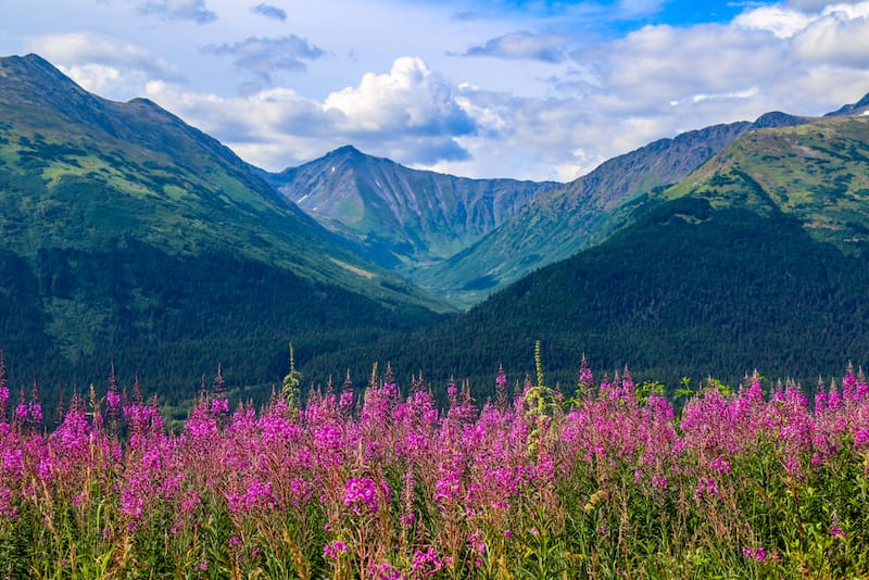 Mejores Lugares para Visitar en Julio en EE.UU Anchorage