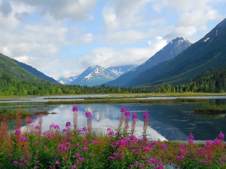 Mejores Lugares para Visitar en Septiembre en EE.UU Road trip por Alaska 