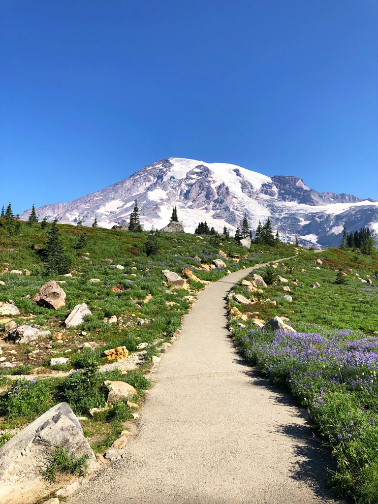 Mejores Lugares para Visitar en Septiembre en EE.UU Parque Nacional Monte Rainier, Washington