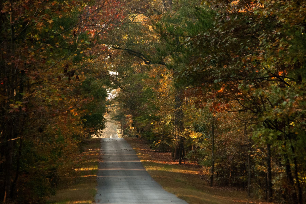 Lugares para Visitar en Octubre en EE.UU Parque Estatal Pere Marquette, Illinois