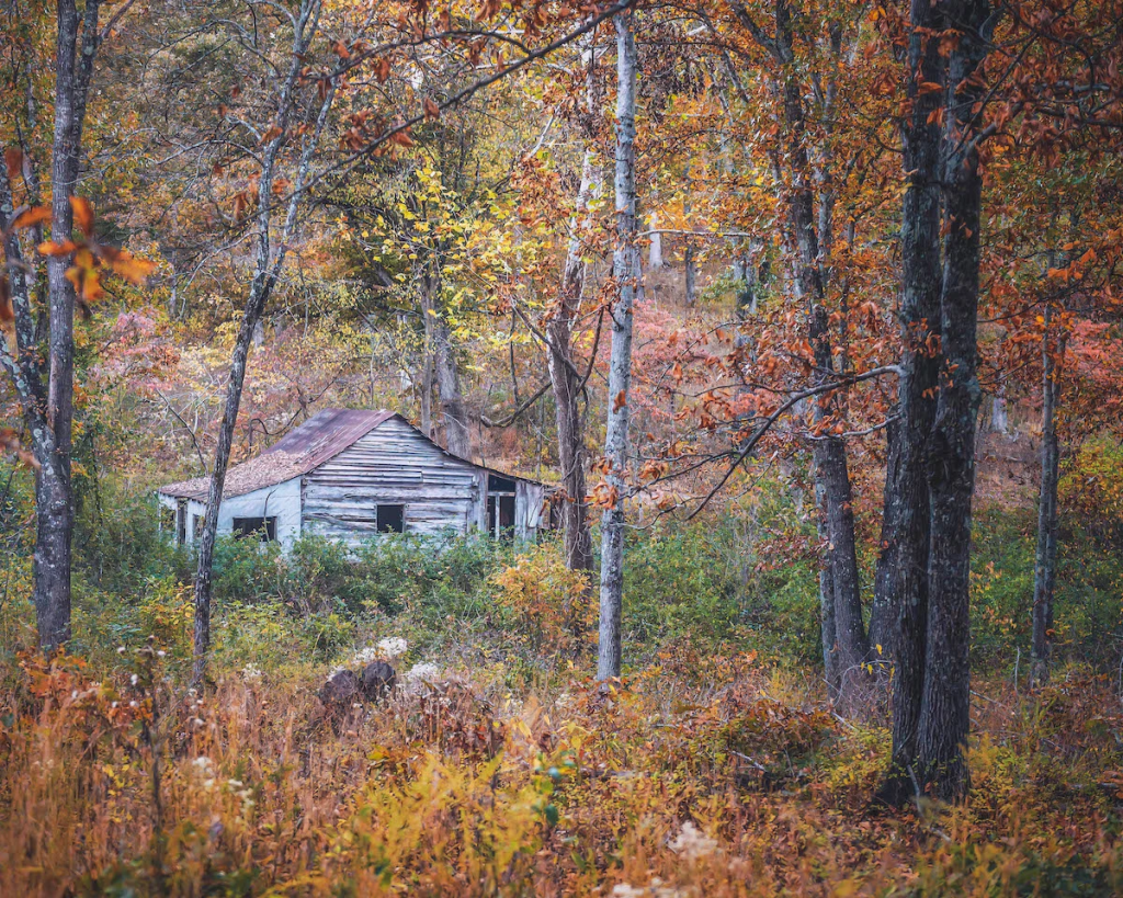 Lugares para Visitar en Octubre en EE.UU Bosque Nacional Ozark, Arkansas
