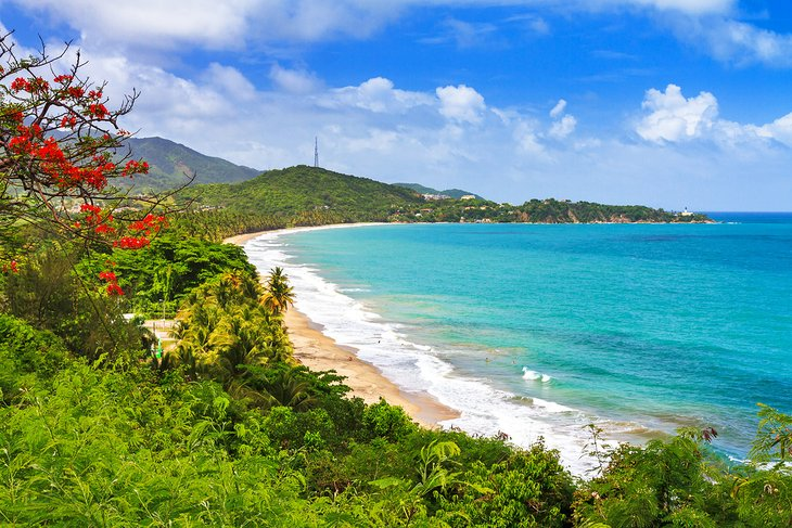 Destinos económicos para viajar en diciembre Puerto Rico, Caribbean