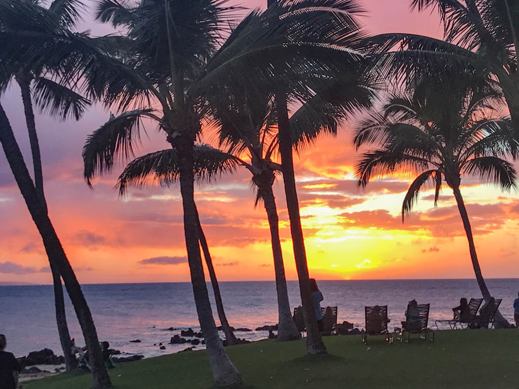 Mejores Lugares para Visitar en Noviembre
Maui para el avistamiento de ballenas