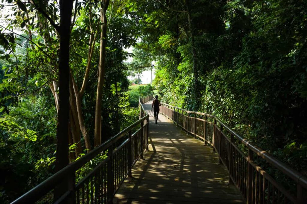 mejores caminatas en singapur