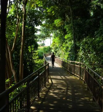 mejores caminatas en singapur