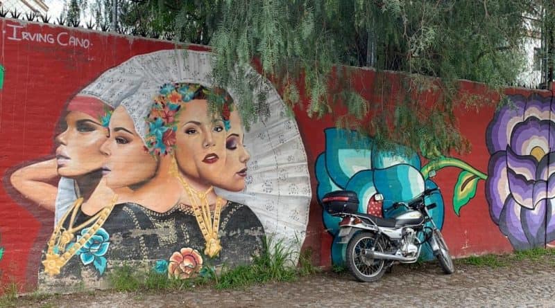 mural genial en el Distrito de las Artes-san miguel de allende