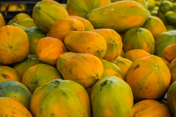 papaya 3-frutas de temporada costa rica

