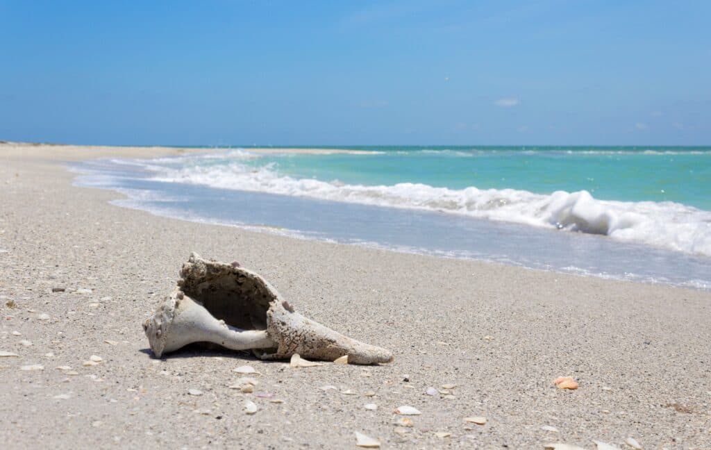 playas solitarias de Florida Parque Estatal Cayo Costa cerca de Boca Grande
