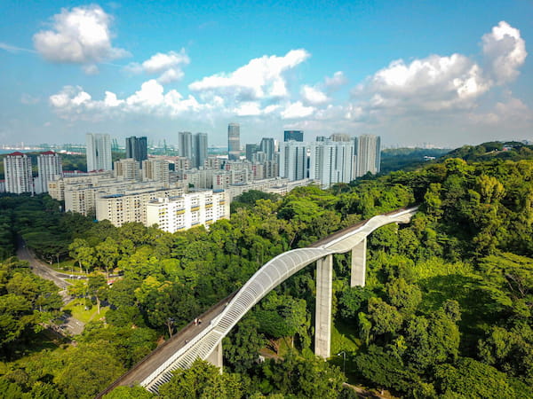 puente Henderson Waves mejores caminatas en singapur 3