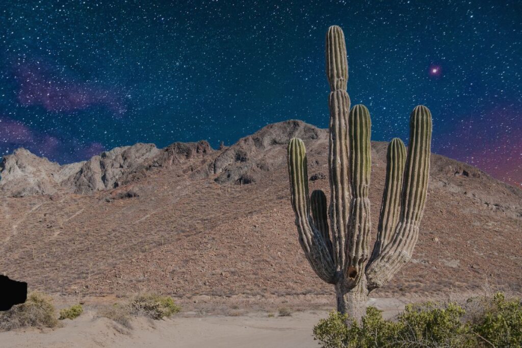 ver estrellas Valle de Baja California México
